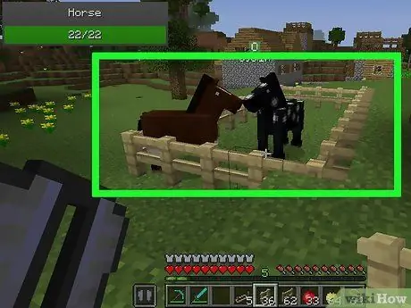 Разведение лошадей в Minecraft, шаг 9 Разведение лошадей в Minecraft, шаг 9