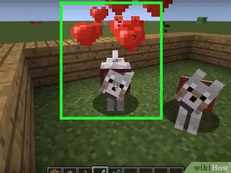 Приручите и разведите собаку в Minecraft, шаг 5 Приручите и разведите собаку в Minecraft, шаг 5