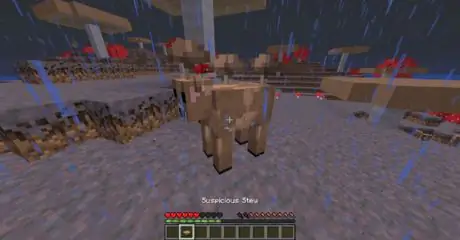Сделайте подозрительное тушеное мясо в minecraft step 15