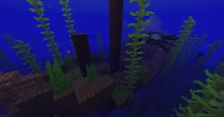 Найдите золото в minecraft step 20
