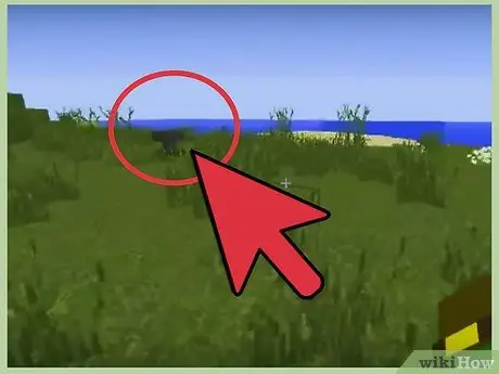 Сделайте зомби-питомца в Minecraft, шаг 1