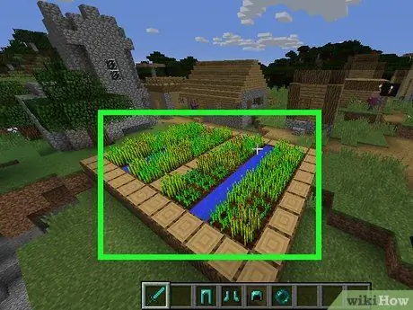 Получите морковь в Minecraft, шаг 1