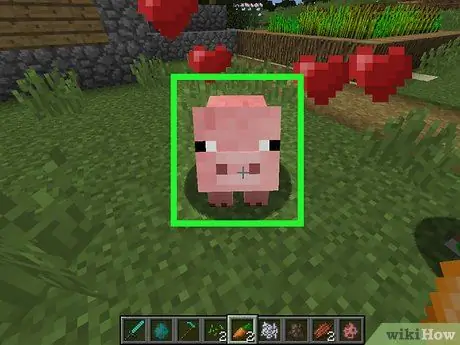 Получите морковь в Minecraft Step 10