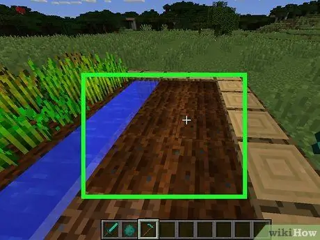 Получите морковь в Minecraft Step 4