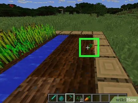 Получите морковь в Minecraft Step 5