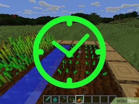 Получите морковь в Minecraft Step 6