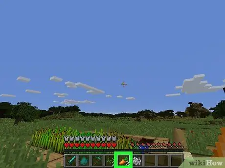 Получите морковь в Minecraft Step 8