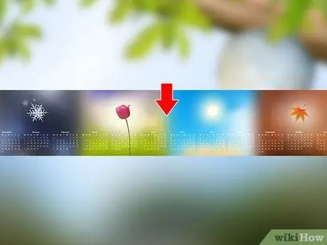 Не позволяйте осам в желтой куртке, шаг 8