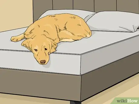 Продам матрас Шаг 13