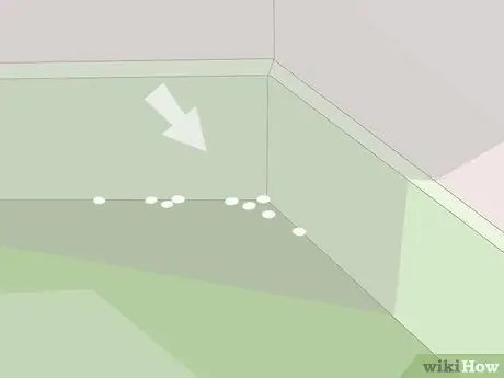 Убить блошиные яйца, шаг 2