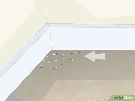 Убить блошиные яйца, шаг 4