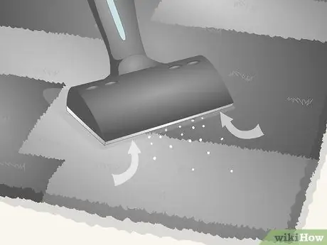 Убить блошиных яиц, шаг 6