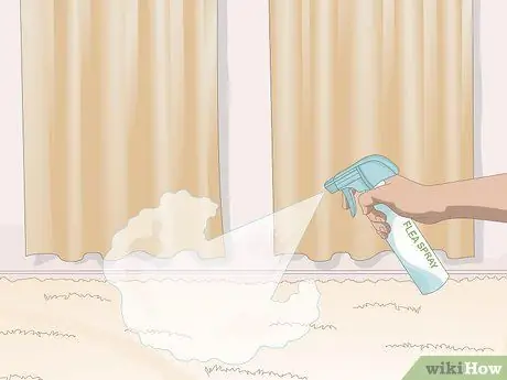 Убить блошиных яиц, шаг 8