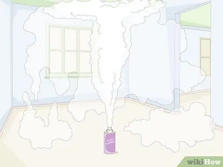 Убить блошиных яиц, шаг 9