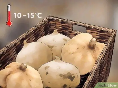 Выращивайте Jicama Шаг 17