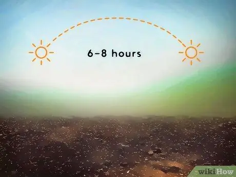 Выращивайте Jicama, шаг 3