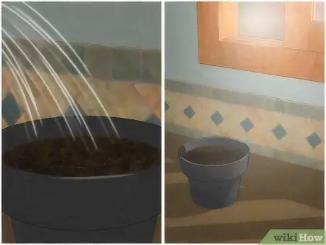 Выращивание комнатного травяного сада Шаг 7