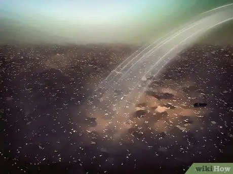 Выращивайте Jicama Шаг 9