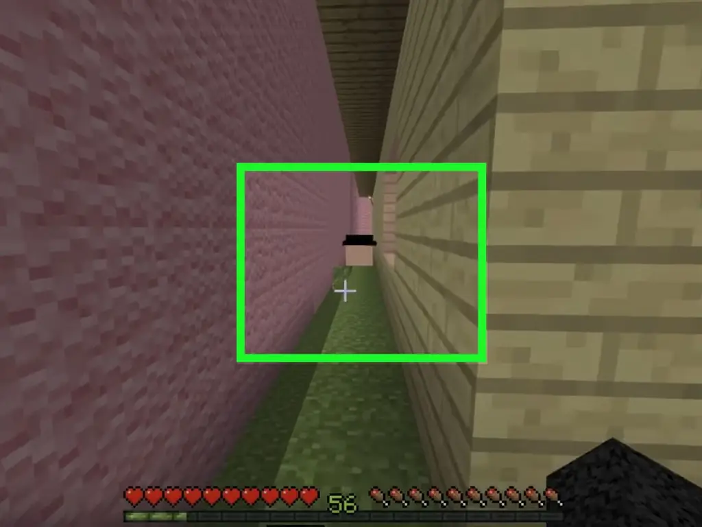 Как играть в прятки в Minecraft: 9 шагов (с картинками)