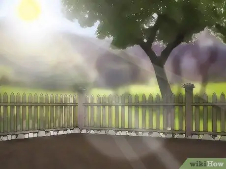 Выращивание желтых кабачков, шаг 2