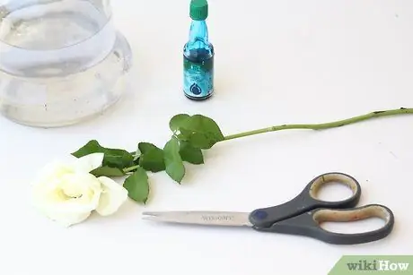 Создание синих роз, шаг 1