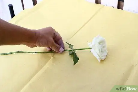 Создание синих роз. Шаг 15