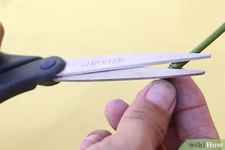 Создание синих роз. Шаг 16