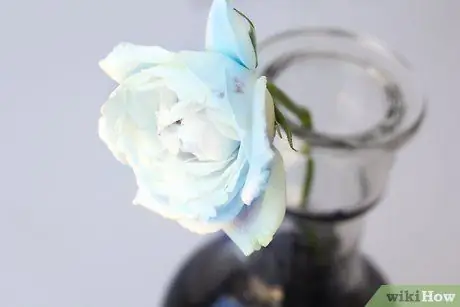 Создание синих роз. Шаг 6