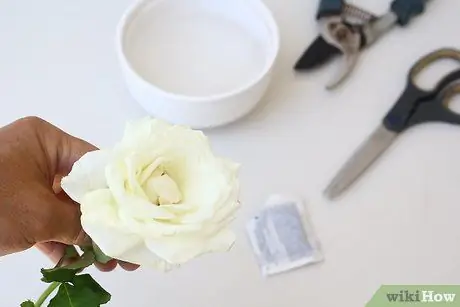 Создание синих роз. Шаг 7