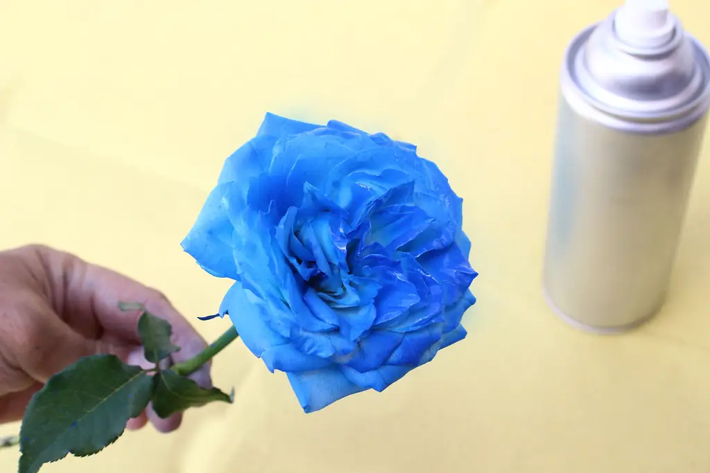 3 способа создания синих роз