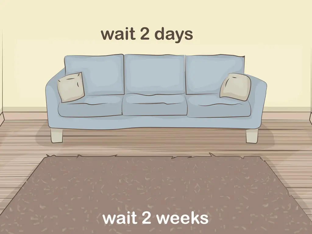 Как отделать паркетные полы без шлифовки (с иллюстрациями)