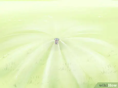 Удаление Crabgrass с газонов Шаг 3