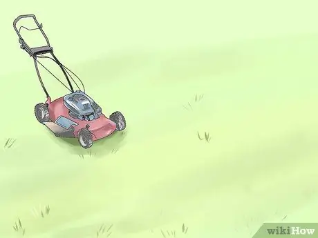 Удаление Crabgrass с газонов Шаг 4