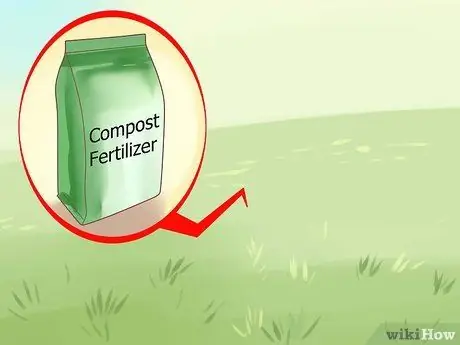 Удаление Crabgrass с газонов Шаг 5