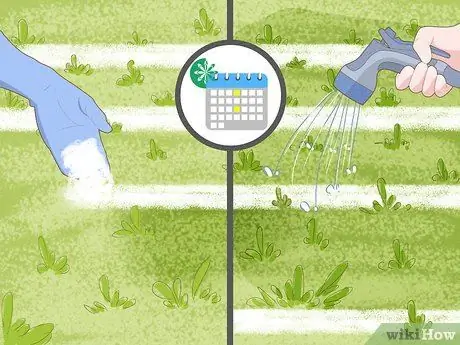 Избавиться от ореховой травы, шаг 14