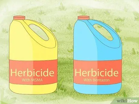 Избавиться от ореховой травы, шаг 16