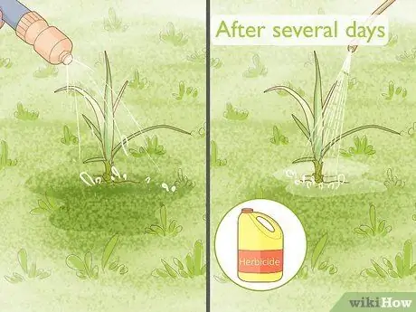 Избавиться от ореховой травы, шаг 18