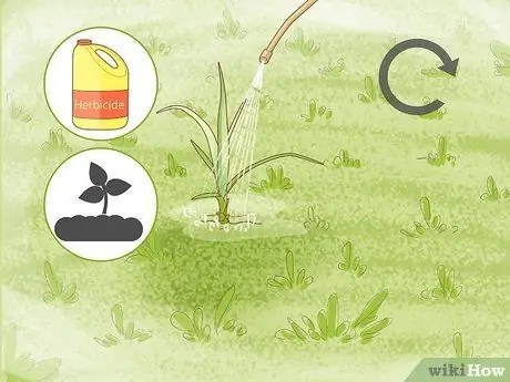 Избавиться от ореховой травы, шаг 20