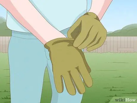 Избавиться от ореховой травы, шаг 5