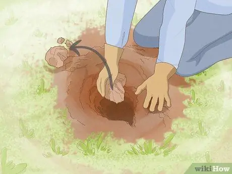 Избавиться от ореховой травы, шаг 8