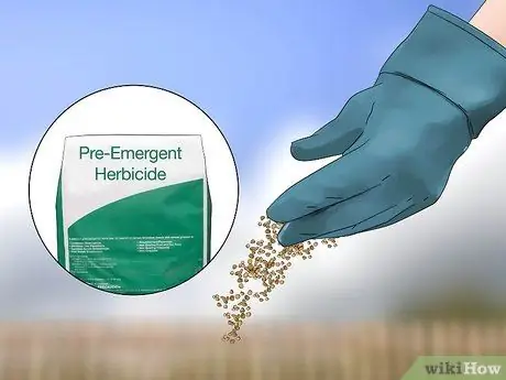 Избавиться от Crabgrass Шаг 1