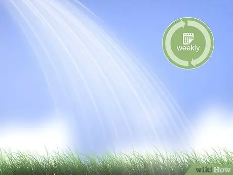 Избавиться от Crabgrass Шаг 10