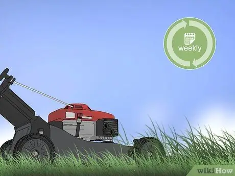 Избавиться от Crabgrass Шаг 11