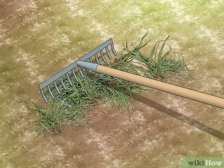 Избавиться от Crabgrass Шаг 15