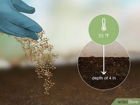 Избавиться от Crabgrass Шаг 2