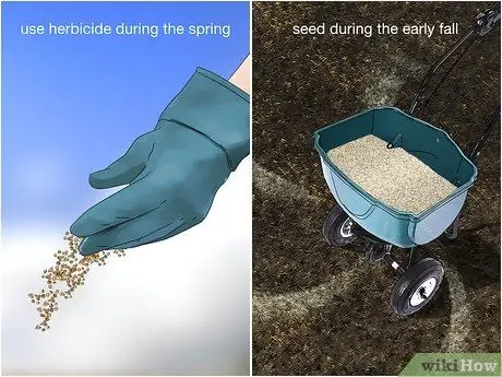 Избавиться от Crabgrass Шаг 4