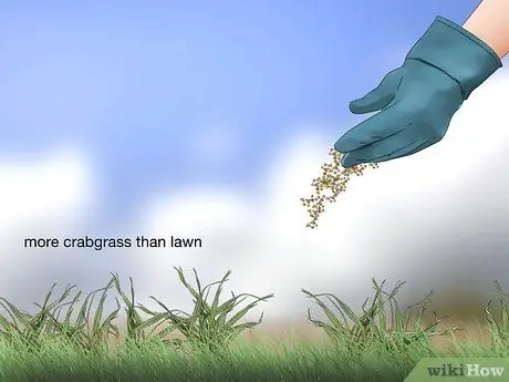 Избавиться от Crabgrass Шаг 5