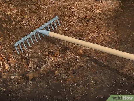 Избавиться от Crabgrass Шаг 7