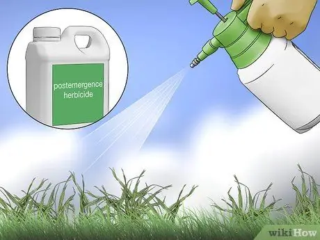 Избавиться от Crabgrass Шаг 9