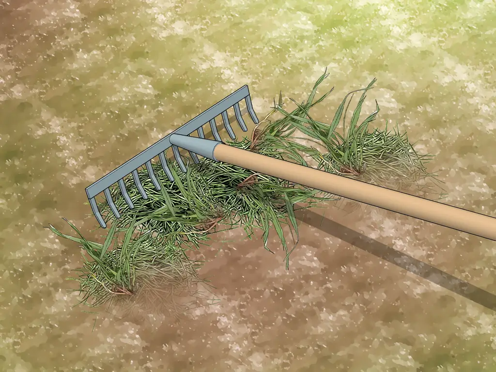 Как избавиться от Crabgrass: 15 шагов (с изображениями)